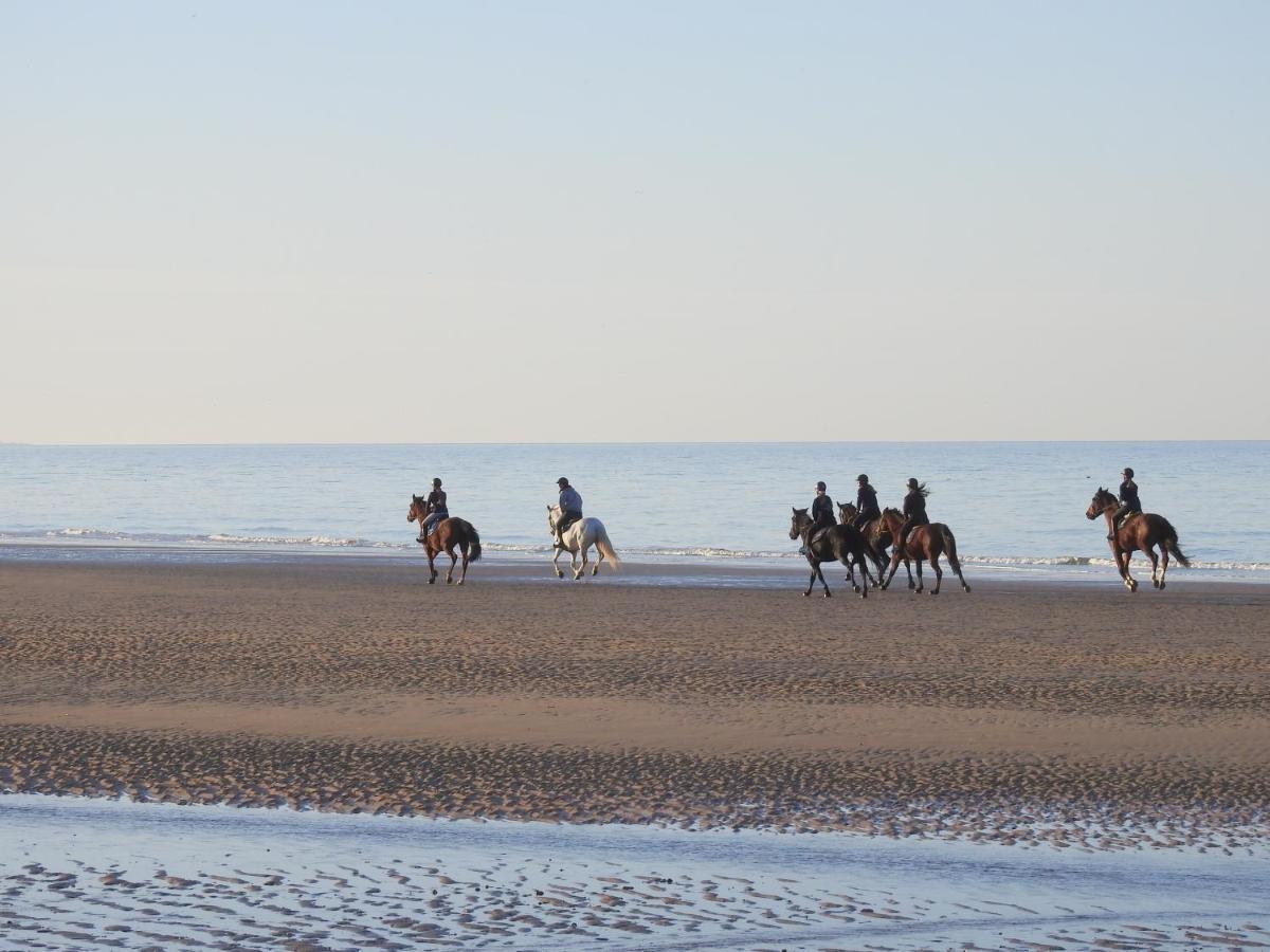 Les 3 Mouettes A Cabourg - Cote Normande Διαμέρισμα Εξωτερικό φωτογραφία